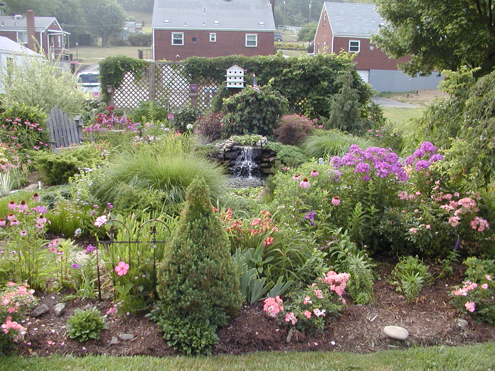 Click to see some recent pictures